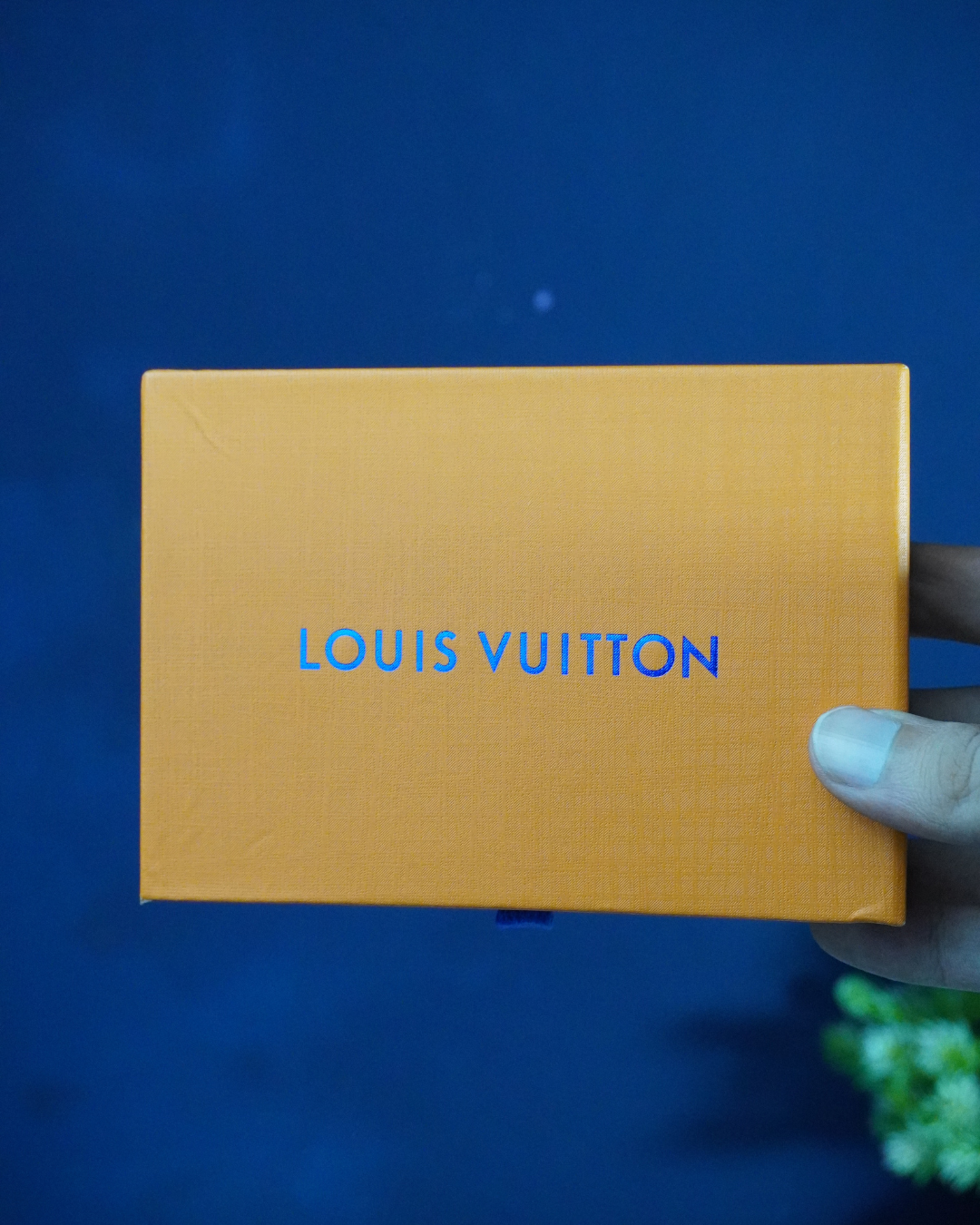 Louis Vuitton Men Long Wallet